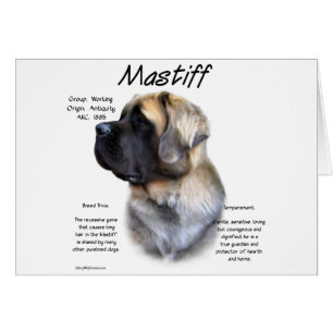 Histoire de Fluffy Mastiff