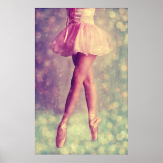 Histoire de la faune de ballet - Poster