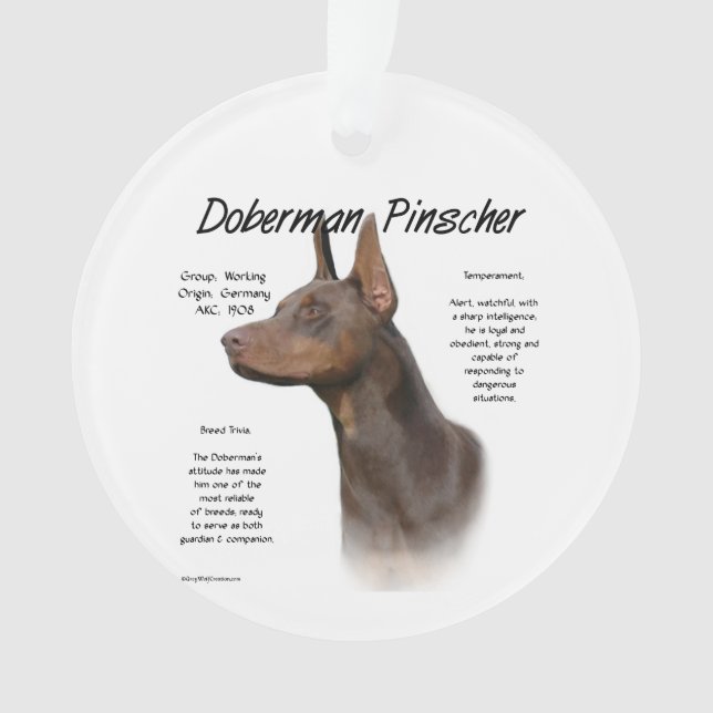 Histoire de Red Doberman (devant)