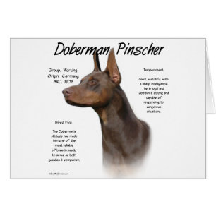 Histoire de Red Doberman