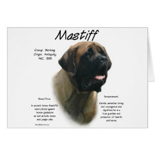 Histoire des mastiff abricot
