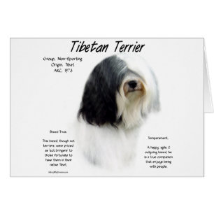 Histoire des Terriers Tibétains; J'Aime Les Terrie