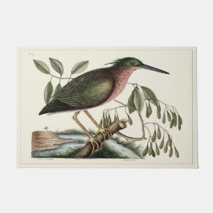 Histoire naturelle 24" x 36" natte de tapis de