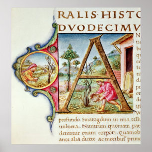 Historiated Initiale "A" darstellend Poster