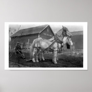 Historische Ahorn-Reihen-Bauernhofphotographie Poster