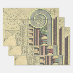 Historische Architektur; Kapitellvolute von Vignol Geschenkpapier Set