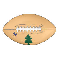 Historische Flagge Maine (1901-1909) Fußball