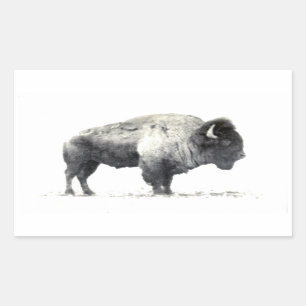 Historische Fotografie des amerikanischen Bisons Rechteckiger Aufkleber