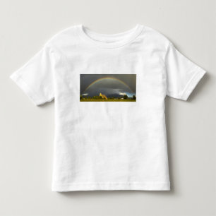 Historische St. Ignatius-Mission in St. Ignatius,  Kleinkind T-shirt