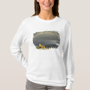Historische St. Ignatius-Mission in St. Ignatius,  T-Shirt