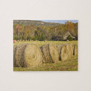 Historischer Bauernhof am Buffalo National River,