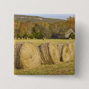 Historischer Bauernhof am Buffalo National River, Button
