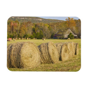 Historischer Bauernhof am Buffalo National River, Magnet