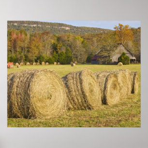 Historischer Bauernhof am Buffalo National River, Poster
