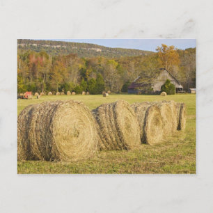 Historischer Bauernhof am Buffalo National River, Postkarte