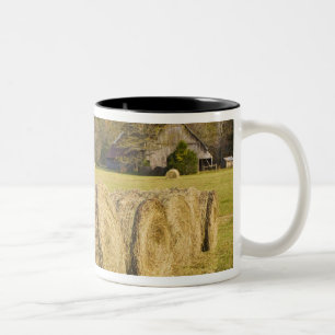 Historischer Bauernhof am Buffalo National River, Zweifarbige Tasse
