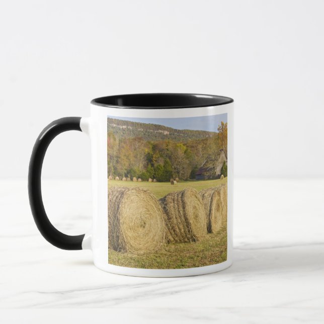 Historischer Bauernhof im Büffel-nationalen Fluss, Tasse (Links)