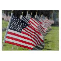 Historischer MilitärFriedhof mit US-Flaggen