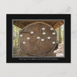 Historischer Sehenswürdigkeit Park, Dothan Alabama Postkarte