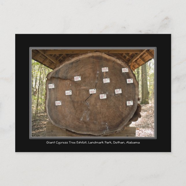 Historischer Sehenswürdigkeit Park, Dothan Alabama Postkarte (Vorderseite)