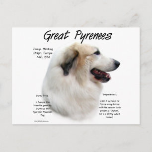 Historisches Design der Pyrenäen Postkarte