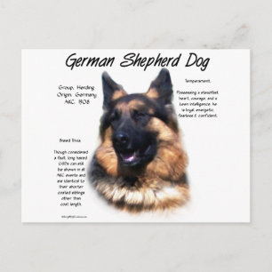 Historisches Design des deutschen Schäferhundes (L Postkarte