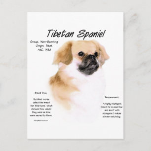 Historisches Design Tibets Postkarte