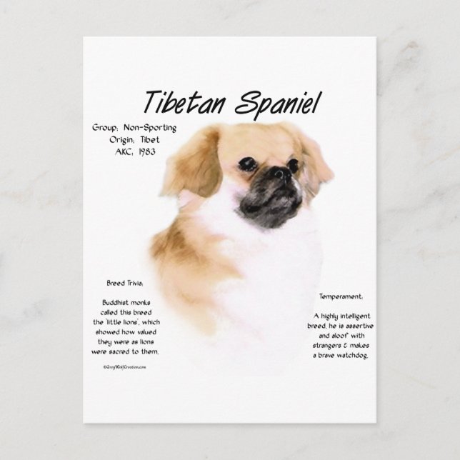 Historisches Design Tibets Postkarte (Vorderseite)