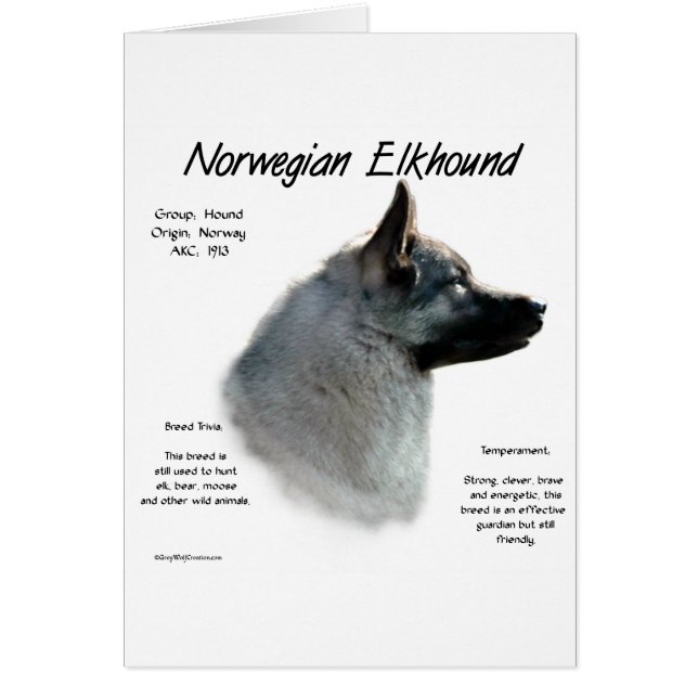 Historisches Design von Norwegisch-Elkhound (Vorne)