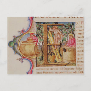 Historisiertes "E", das die Weinbereitung darstell Postkarte