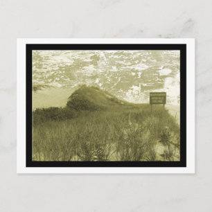 Hither Hills, Montauk Postcard Postkarte