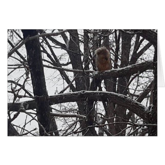 Hiver Blessing vacances saisons SouhaitsCarte (Devant horizontal)