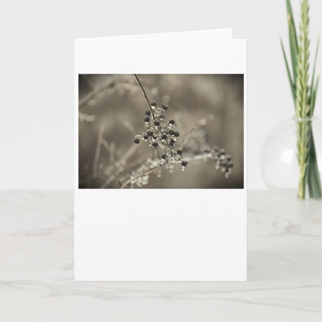 Hiver, carte (Devant)