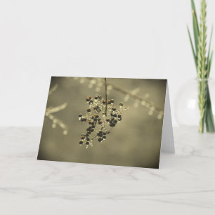 Hiver, carte