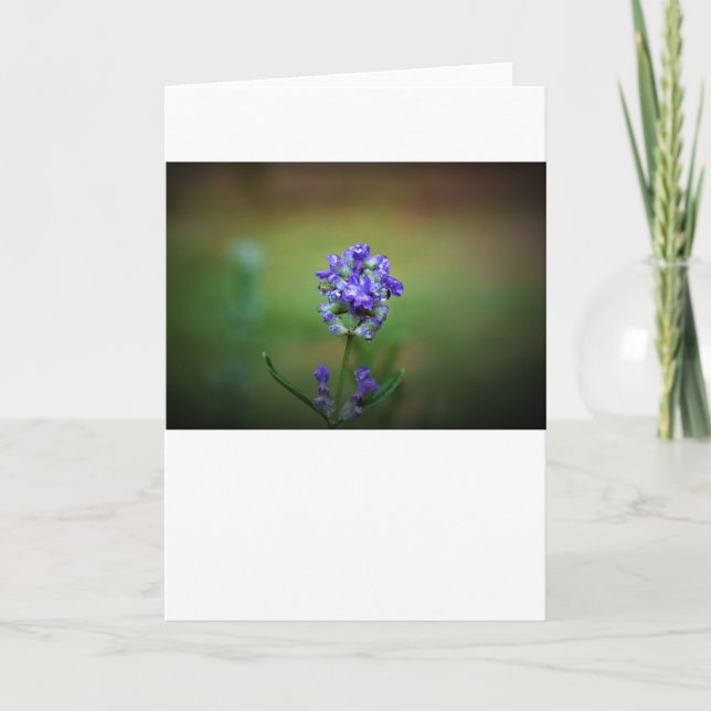 Hiver, carte (Devant)