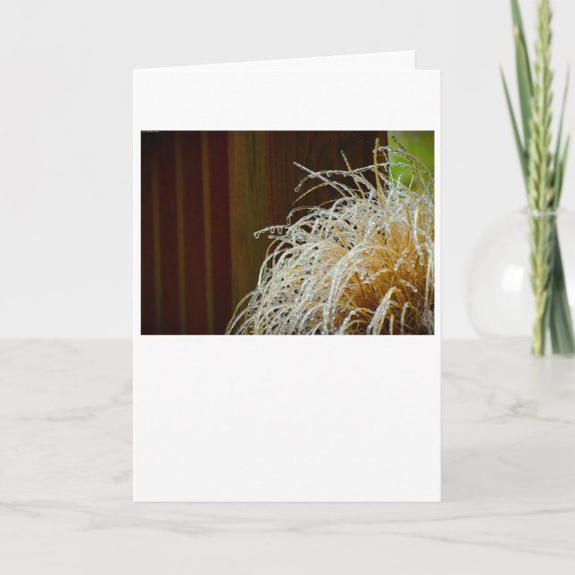 Hiver, carte (Devant)