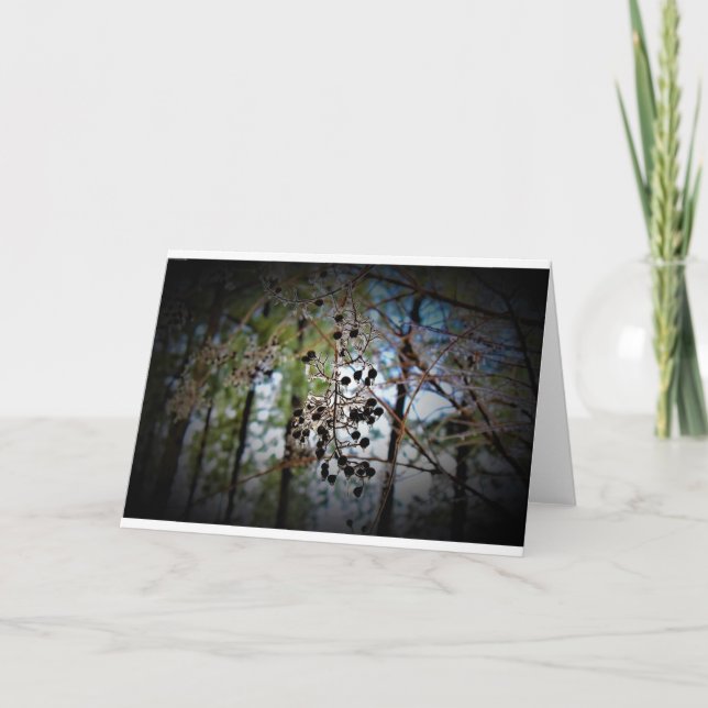 Hiver, carte (Devant)
