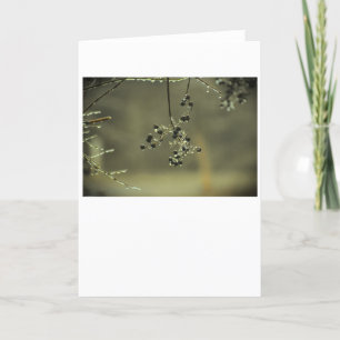 Hiver, carte