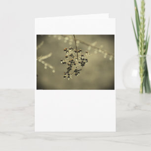 Hiver, carte