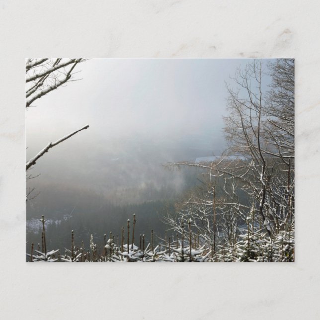 Hiver Carte Forêt Macclesfield (Devant)