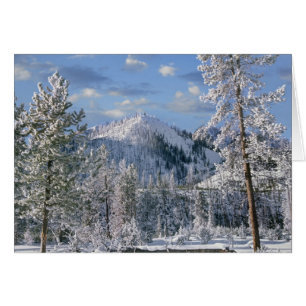 Hiver dans le parc national de Yellowstone, Wyomin