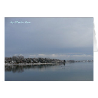 Hiver sur Sag Harbour Cove
