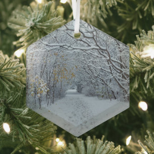 Hiver Wonderland Ornement de neige