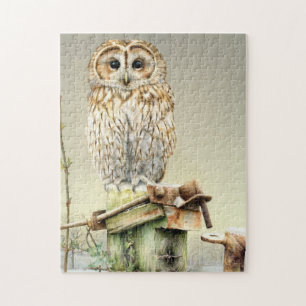 Hivernal chouette rousse puzzle