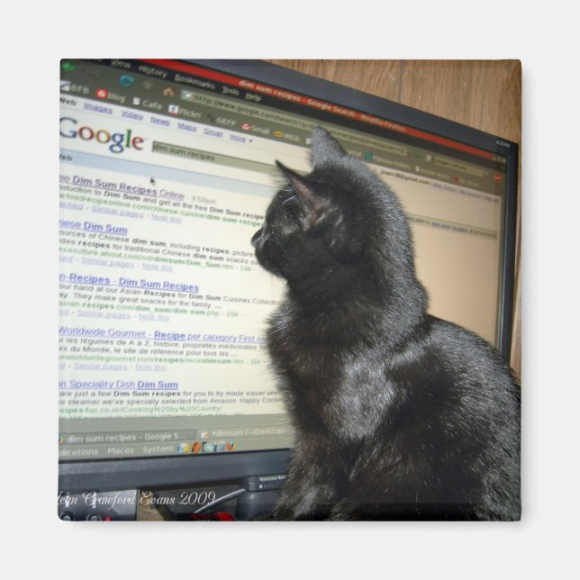 Hmmmm.... Magnet (Vorne)