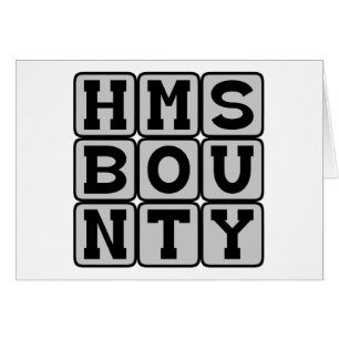 HMS Bounty, Literaturschiff