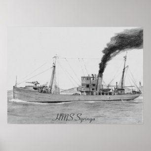 HMSSyringaplakat Poster