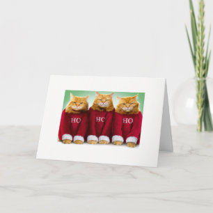 Ho Ho Ho carte de Noël de chat