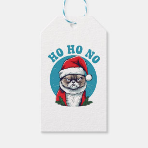 Ho ho nein - lustige mürrische Weihnachtsmann-Katz Geschenkanhänger