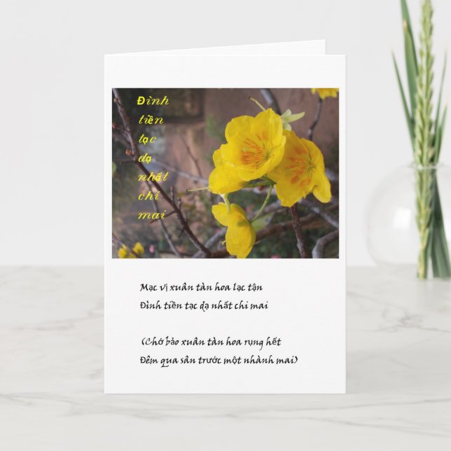 hoa MAI vang Feiertagskarte (Vorderseite)